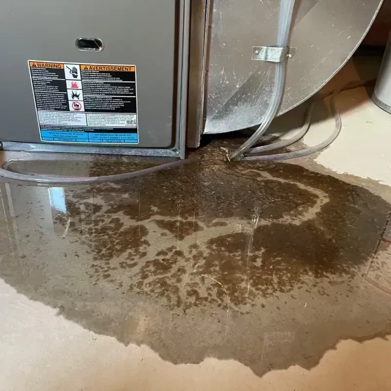 Appliance Leak Cleanup in Grant County, KY